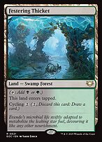 Festering Thicket #21