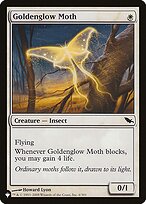Goldenglow Moth #SHM-6