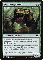 Excavating Anurid #163