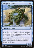 Tidepool Turtle #69
