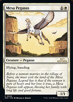 Mesa Pegasus #28