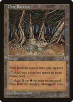 Pine Barrens #321
