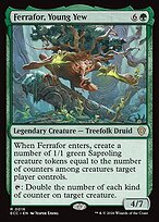 Ferrafor, Young Yew #16