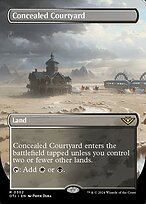 Concealed Courtyard #302