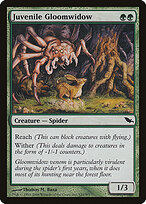 Juvenile Gloomwidow #121