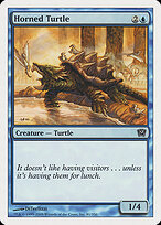 Horned Turtle #81