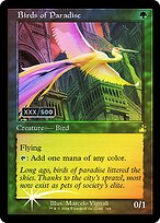 Birds of Paradise #344z