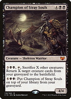 Champion of Stray Souls #119