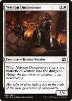 Veteran Dungeoneer #40