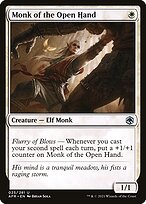 Monk of the Open Hand #25