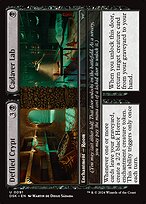 Defiled Crypt // Cadaver Lab #91