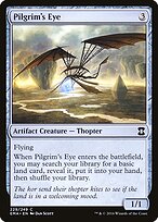 Pilgrim's Eye #229