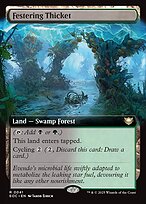Festering Thicket #41
