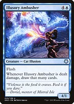Illusory Ambusher #29