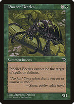 Pincher Beetles #244