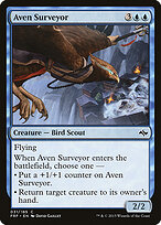 Aven Surveyor #31