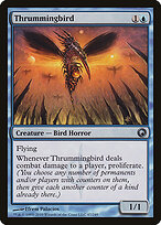 Thrummingbird #47