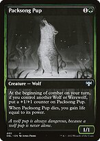 Packsong Pup #480