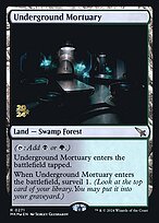 Underground Mortuary #271s