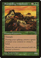 Stampeding Wildebeests #121