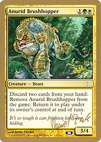 Anurid Brushhopper #dz137sb