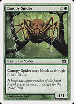 Canopy Spider #236