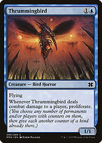 Thrummingbird #65