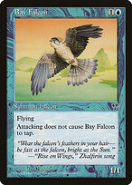 Bay Falcon #54