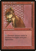 Hurr Jackal #81