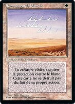 White Ward #45