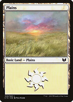Plains #324