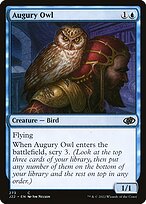 Augury Owl #273
