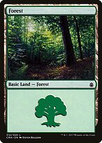 Forest #312