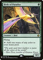 Birds of Paradise #CN2-176