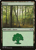 Forest #29