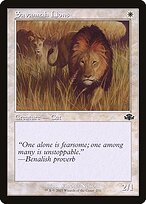 Savannah Lions #270