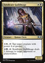 Syndicate Guildmage #211