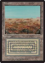 Scrubland #286
