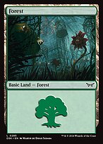 Forest #285