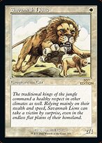 Savannah Lions #335
