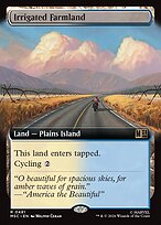 Irrigated Farmland #481