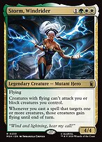 Storm, Windrider #230