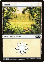 Plains #262