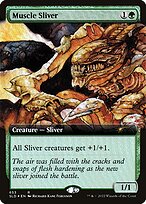 Muscle Sliver #653