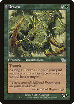 Brawn #107