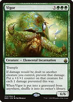 Vigor #215