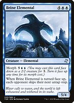 Brine Elemental #55