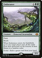 Endurance #157