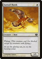 Suntail Hawk #51★
