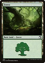 Forest #384